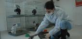 View the Album: facultad de veterinaria
 5 albums