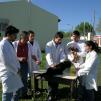 View the image: DSCN3505