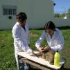 View the image: DSCN3510