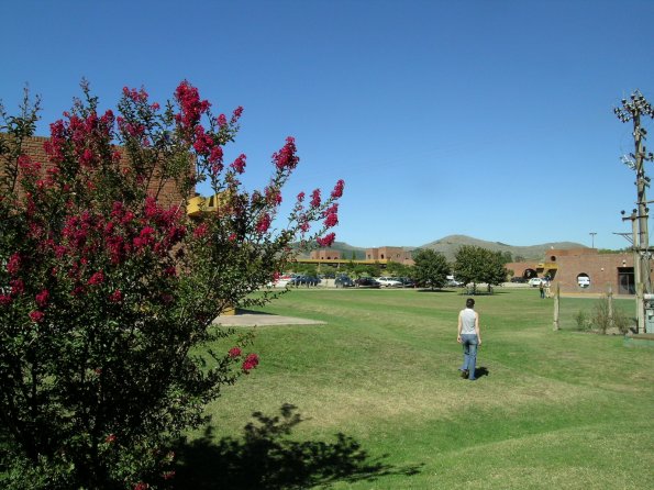 Campus Universitario vistas varias 092