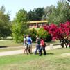 View the image: Campus Universitario vistas varias 096
