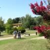 View the image: Campus Universitario vistas varias 097