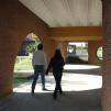 View the image: DSC_0582