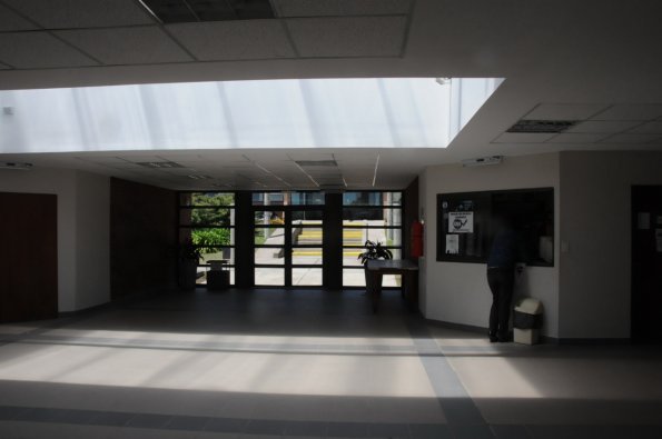 DSC_2426
