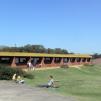 View the image: lateral de eaxctas