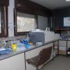 View the image: DSC_0007