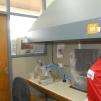 View the image: DSC_0044