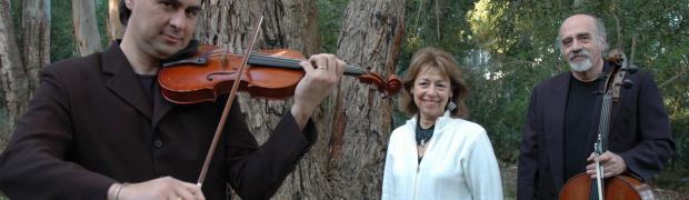 14-08-07 trio de cuerdas:
DSC_0044