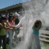 View the image: OLYMPUS DIGITAL CAMERA