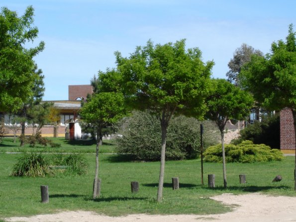 1-DSC00157