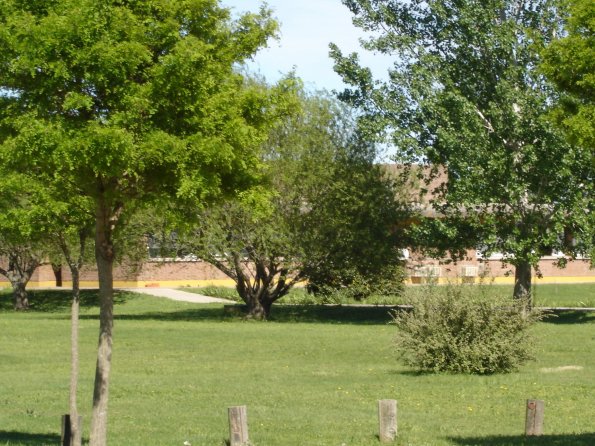 1-DSC00158