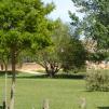 View the image: Copia de 1-DSC00158