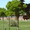 View the image: Copia de 1-DSC00160