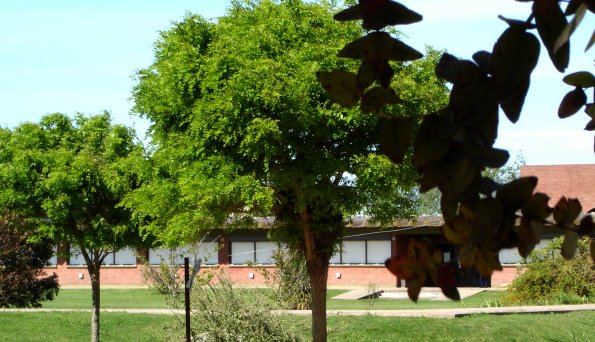 Copia de 2-DSC00160