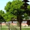 View the image: Copia de 2-DSC00160