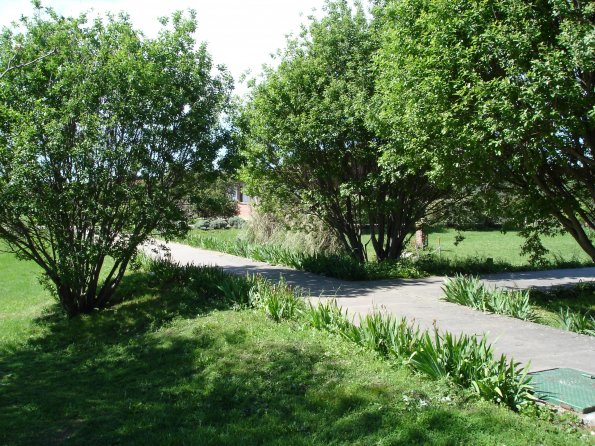 DSC00164
