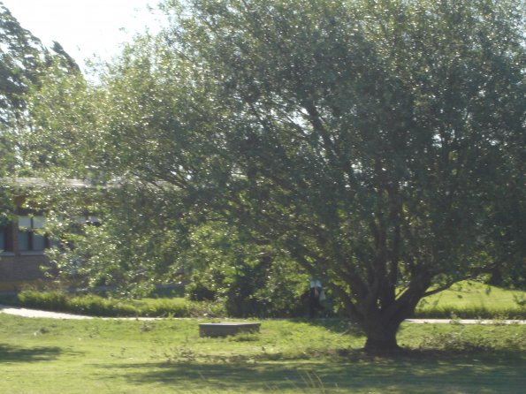 DSC00270