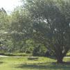 View the image: DSC00270