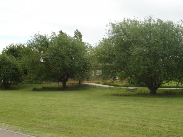 DSC00276