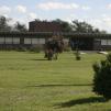 View the image: IMG_8343