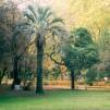View the image: Parque 7