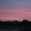 View the image: DSC_0057