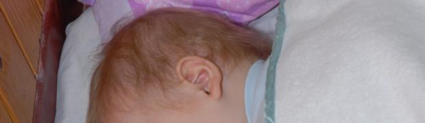 FOTOS VARIAS DEL JARDIN:
DSC_0162