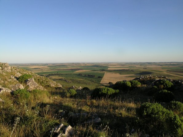 DSCN3490