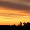 View the image: DSCN8491
