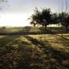 View the image: DSCN8512