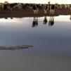 View the image: DSCN8517