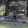 View the image: DSC_0053