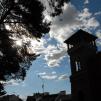 View the image: DSC_0063
