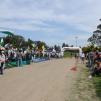 View the image: DSC_9799