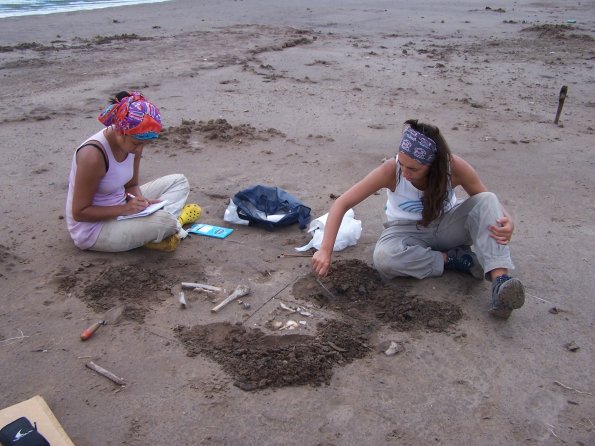 Arqueología_6_Excavación_de_los_restos
