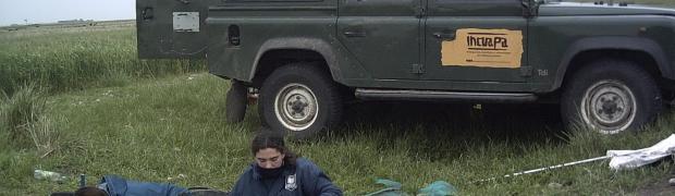 arqueologia:
arqueologia 2