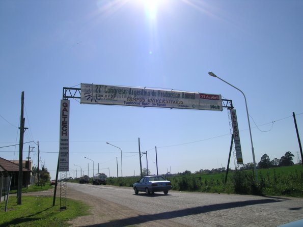 DSCN3538